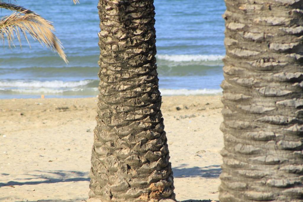 Hotel Cristall San Benedetto del Tronto Bagian luar foto